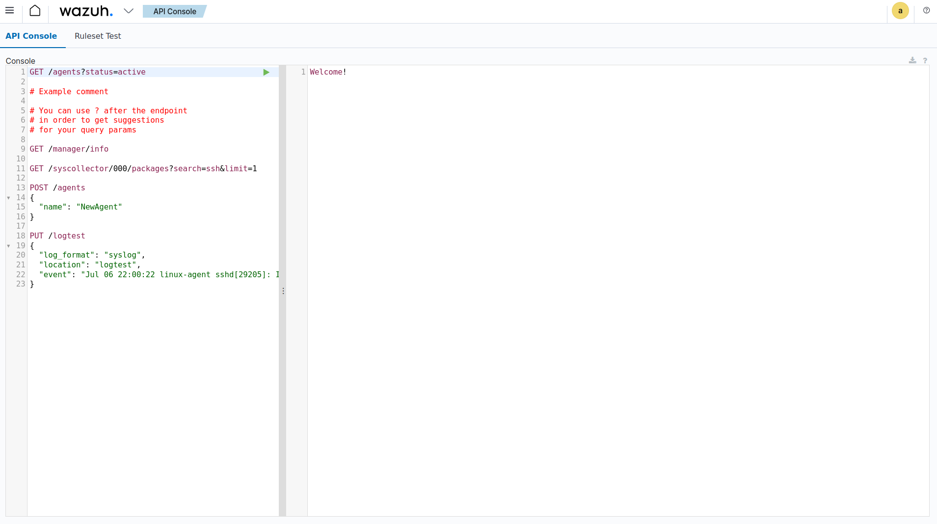 Execute API request