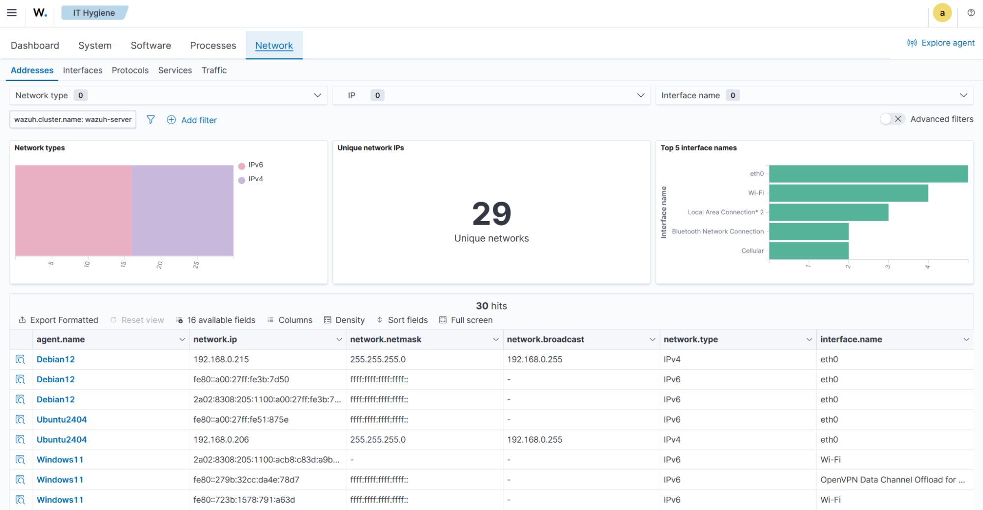 System inventory - Network Addresses tab