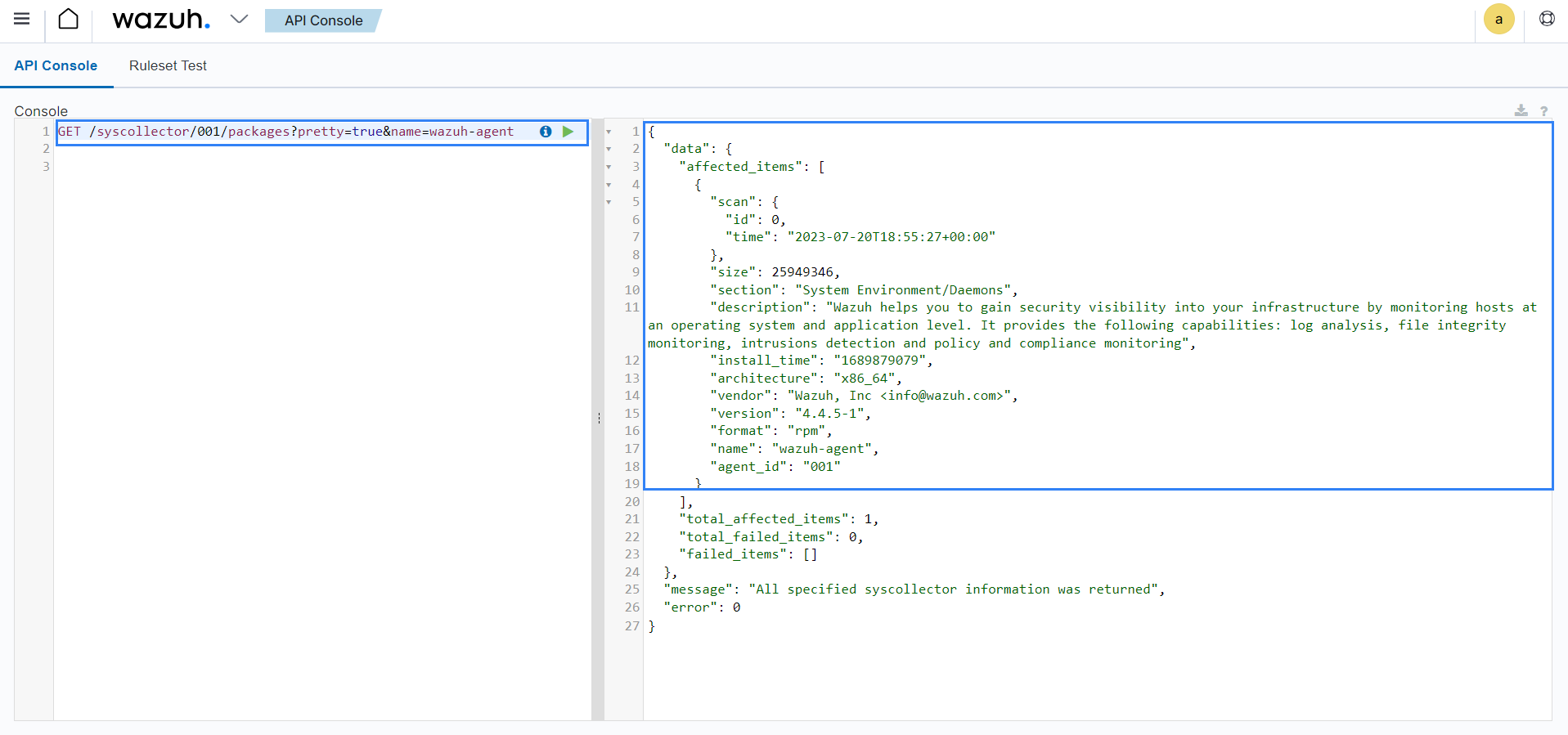 Querying the package inventory using the API console