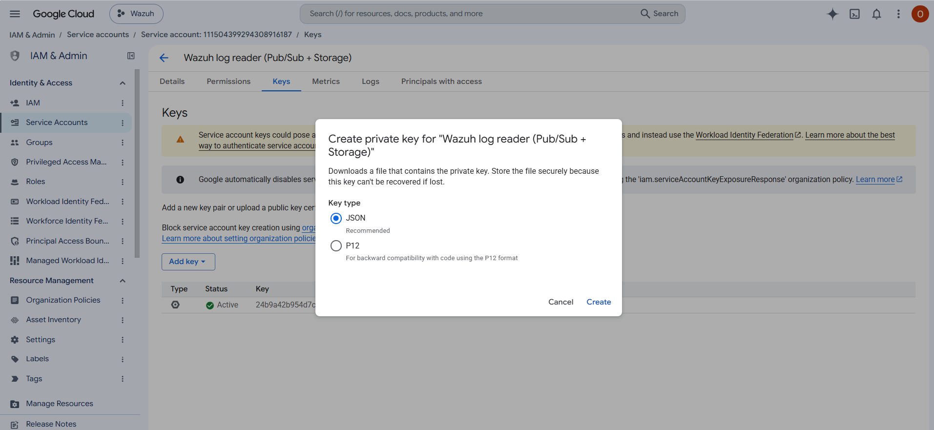 Create a private key in JSON format