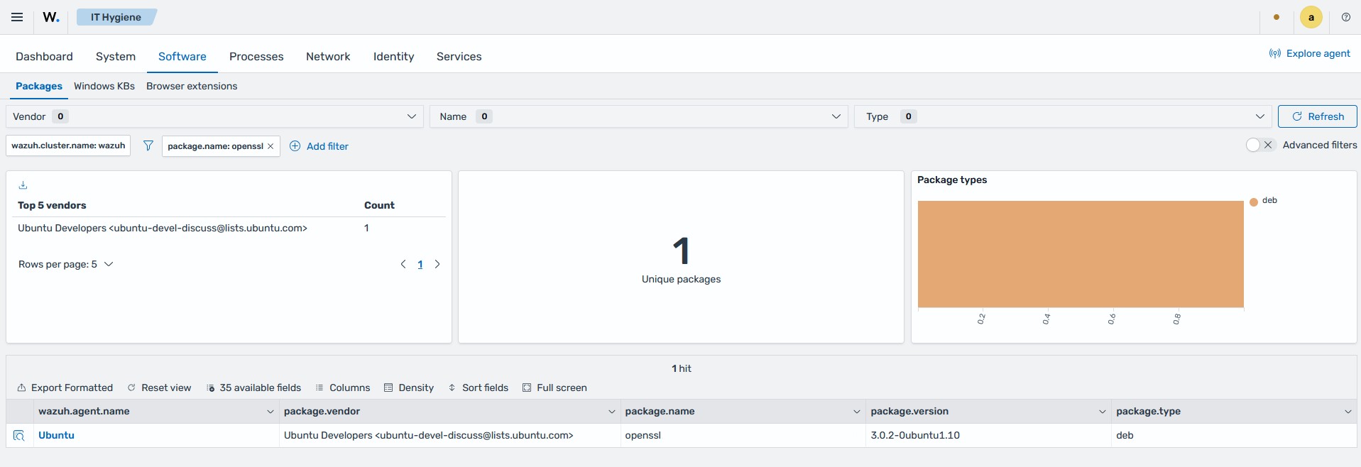 IT Hygiene - Vulnerable package