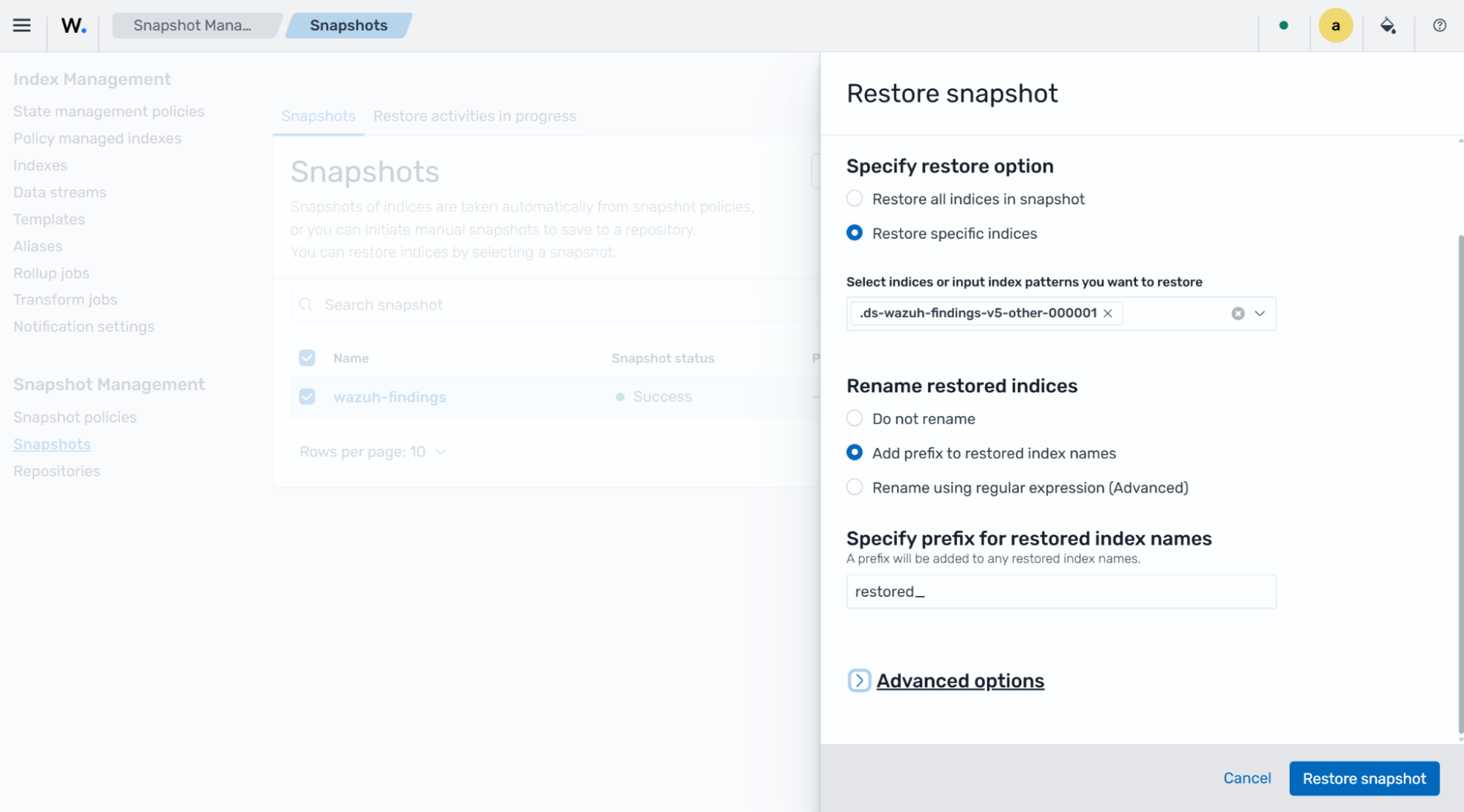 Restore snapshot advanced options