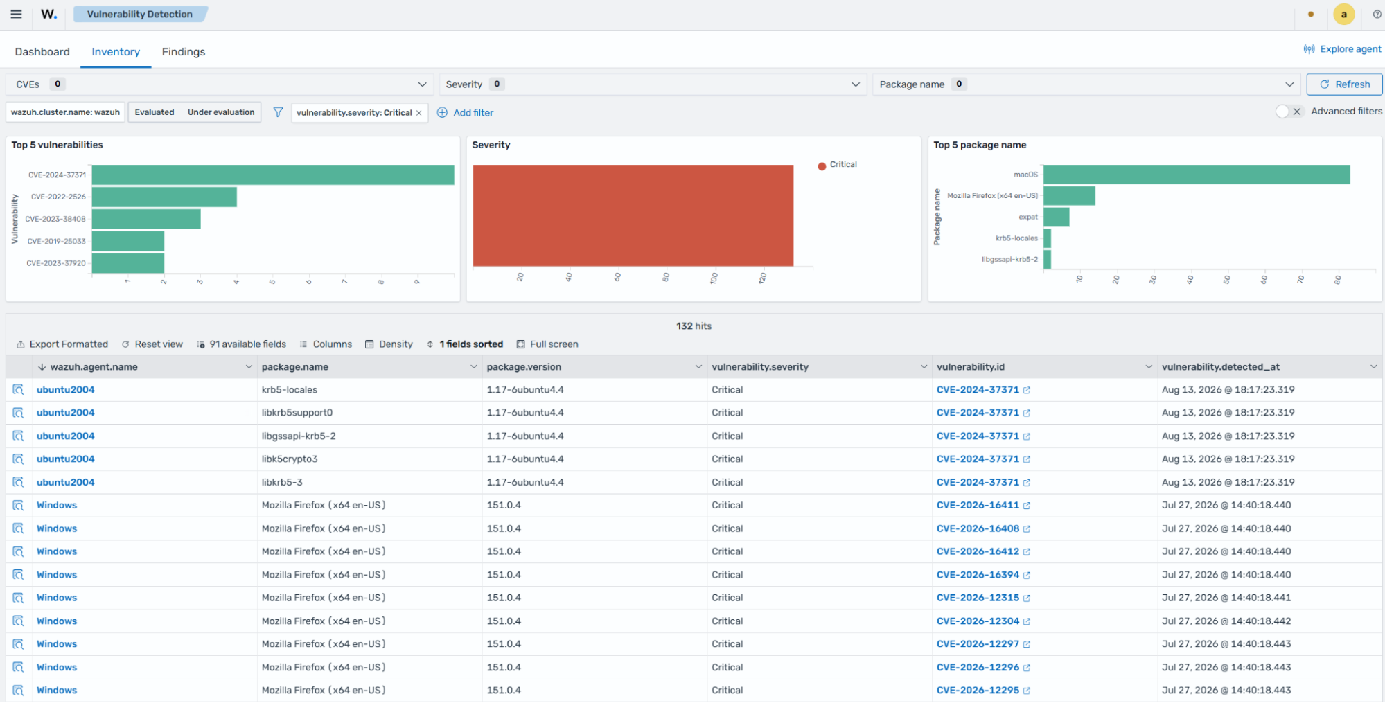 Vulnerability inventory filtered by Critical severity