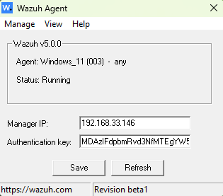 Windows agent manager