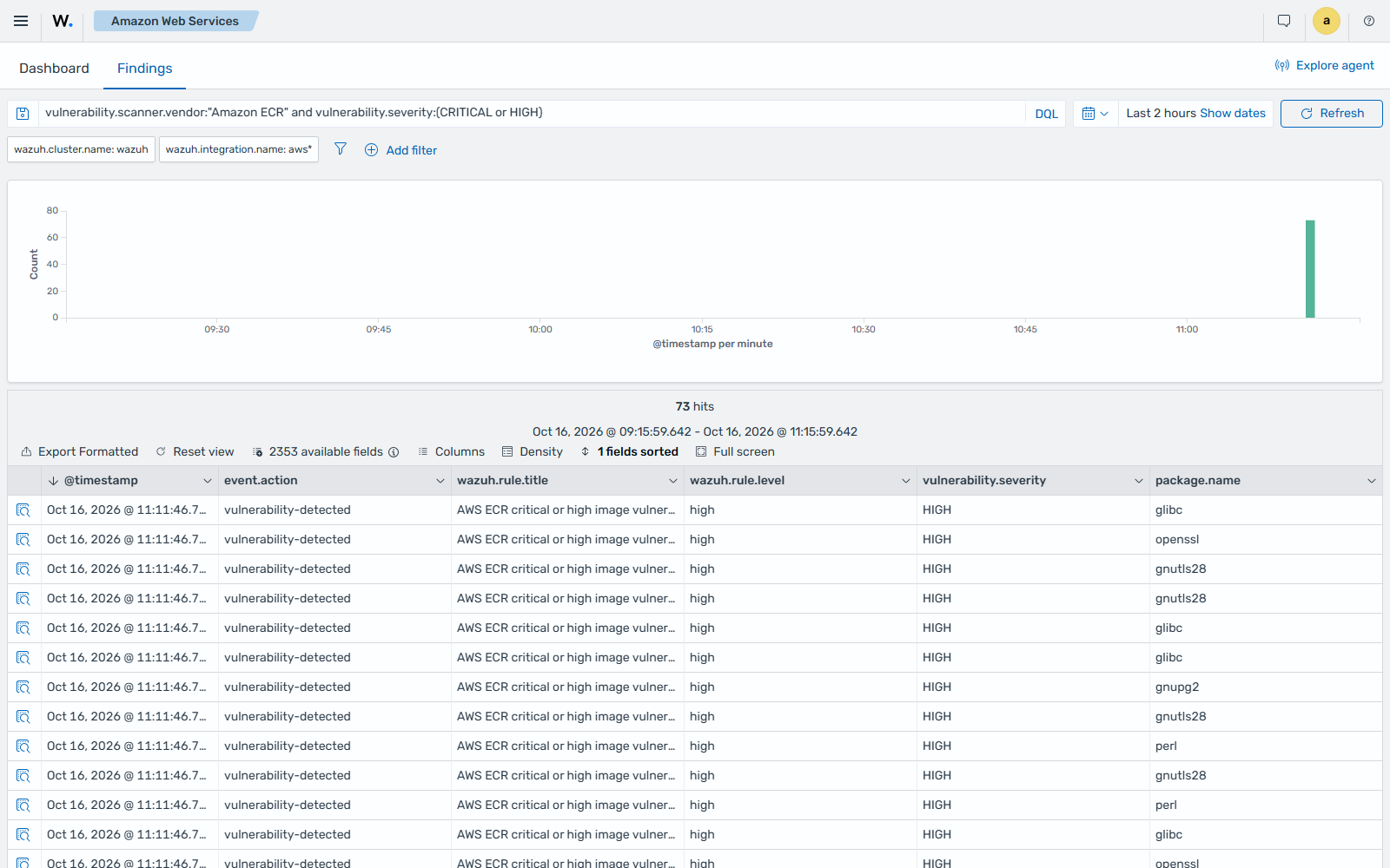 Amazon ECR critical and high vulnerability findings