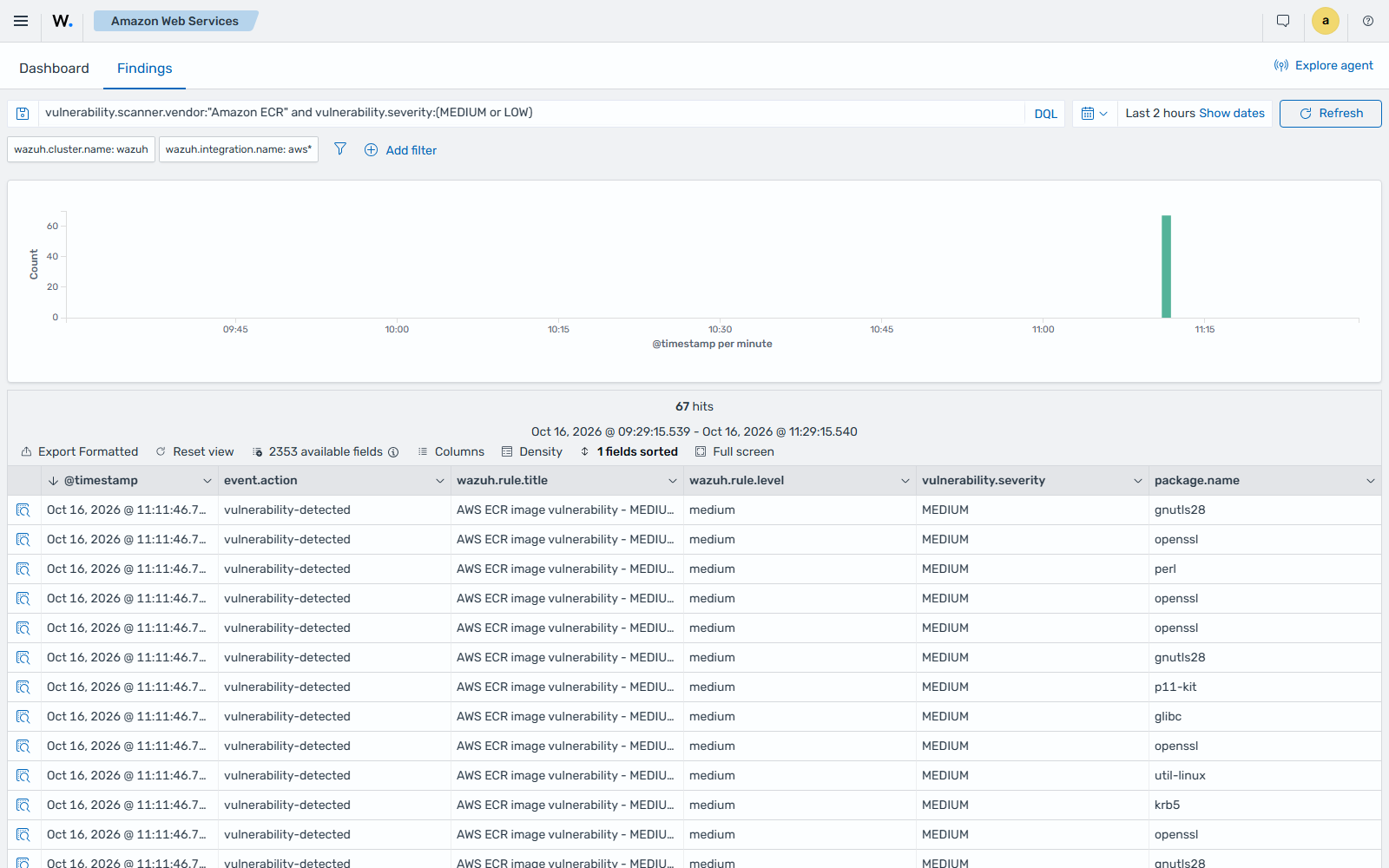 Amazon ECR medium and low vulnerability findings