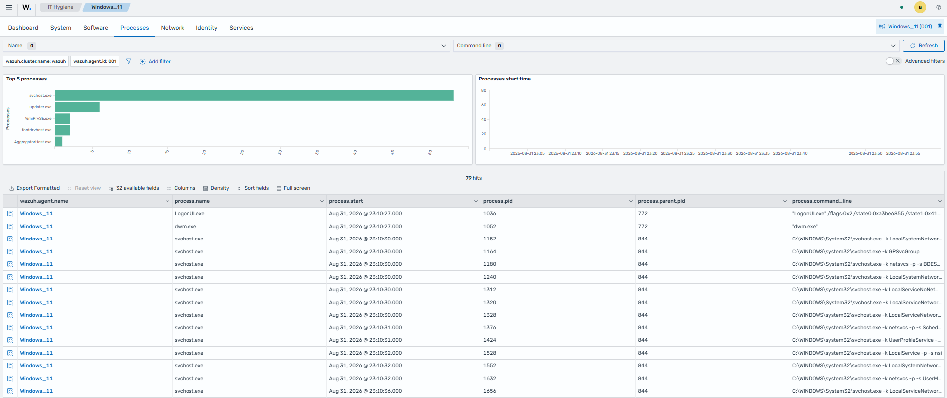 IT Hygiene Processes tab