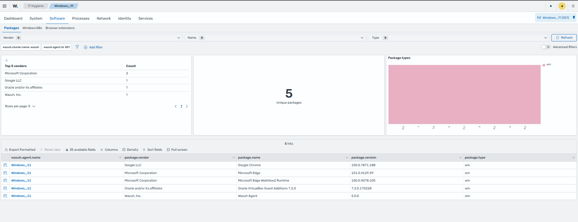 IT Hygiene Software tab