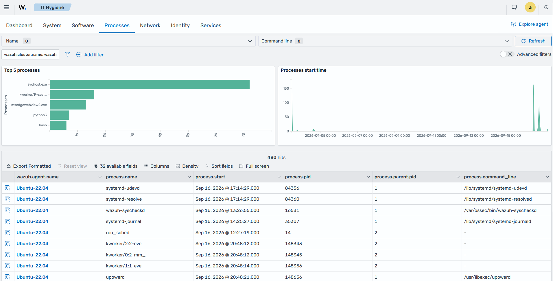 Processes tab of the IT Hygiene section showing running processes with path, user, and process ID