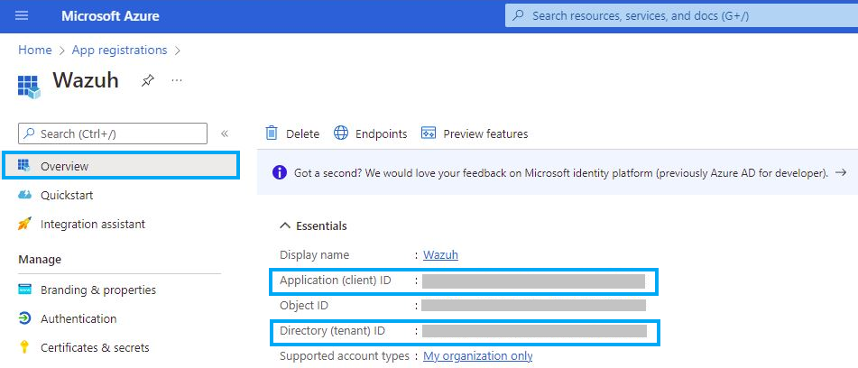 Azure – Client and tenant IDs in overview